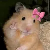 kooooooooo905