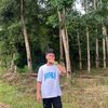 arennayy