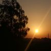 mona.gamal1531