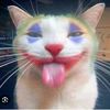 snoopdawgy01