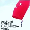 king26ottomann
