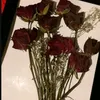 _levi_231