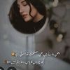 urdu706
