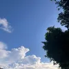 marlaespedido_09