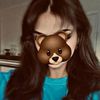 diar_250