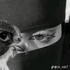 user587820459439