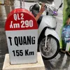 nhindaubuoi334