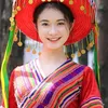 Thảo dược trâu cổ quả