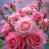 user5432451511209