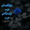 user70852660613104