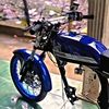 piwek66