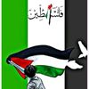 alaa41293