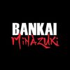 bankai.rides