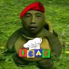 icat379