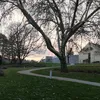 mia_maya3775