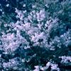 user4060123706357