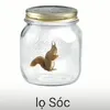 i_am_racoon0