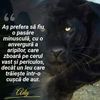 ady.adrian730