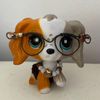 lps.naya