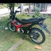 rickyetia4131