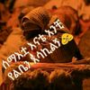 yemaryam064