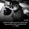 user15219129111856