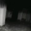 fish_blue526