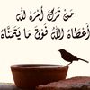 user226118894