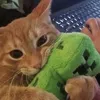 hihishnik