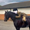 charley.wood2