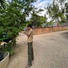 boy.loy549