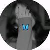 negin.majidi