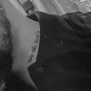 ozaltn7