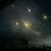 star_d_my_love