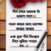 md.nuruddin3354