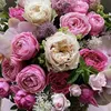 rose_81726oo