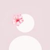 username76330208473624
