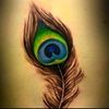 user96125339480118anu