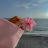 1ru_ix