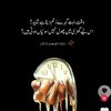 dua.rani0413