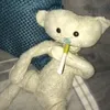 bear_alpha.00