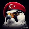 alialiosh28