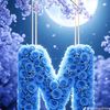 moha.ramd
