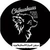77wjjwjbeib