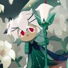 mayokays