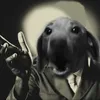 bocerel.boox