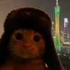 nala_26356