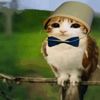 perroca_liente221