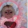 clair_3513