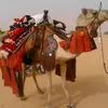 mouss74567